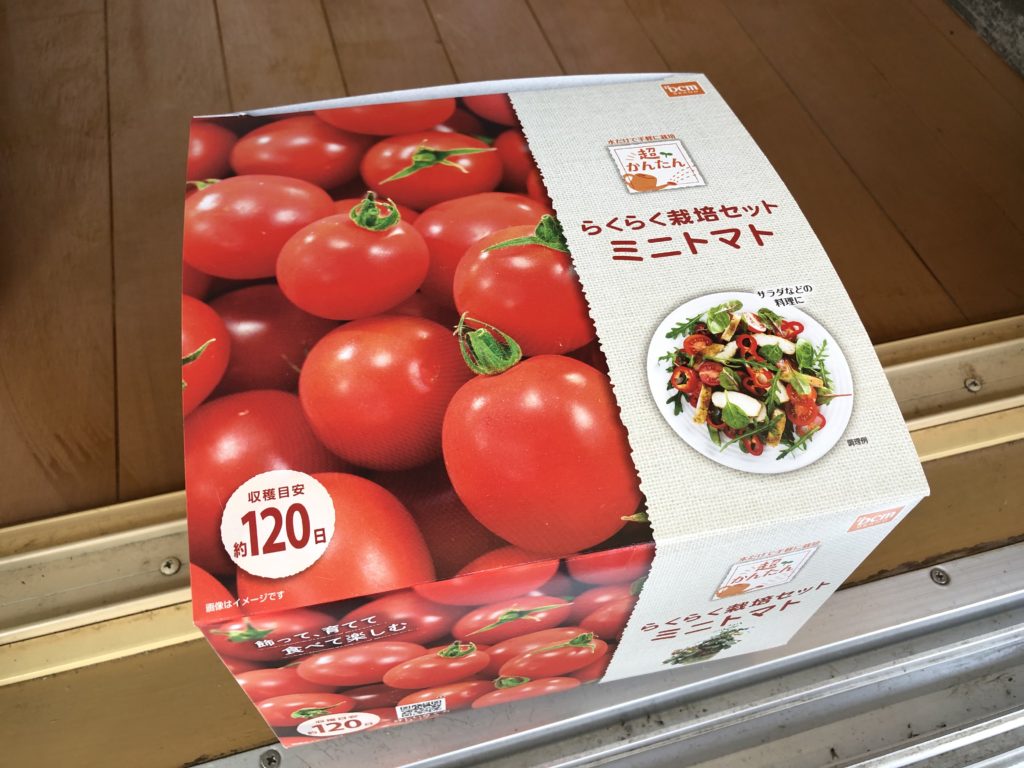 らくらく栽培セット　ミニトマト